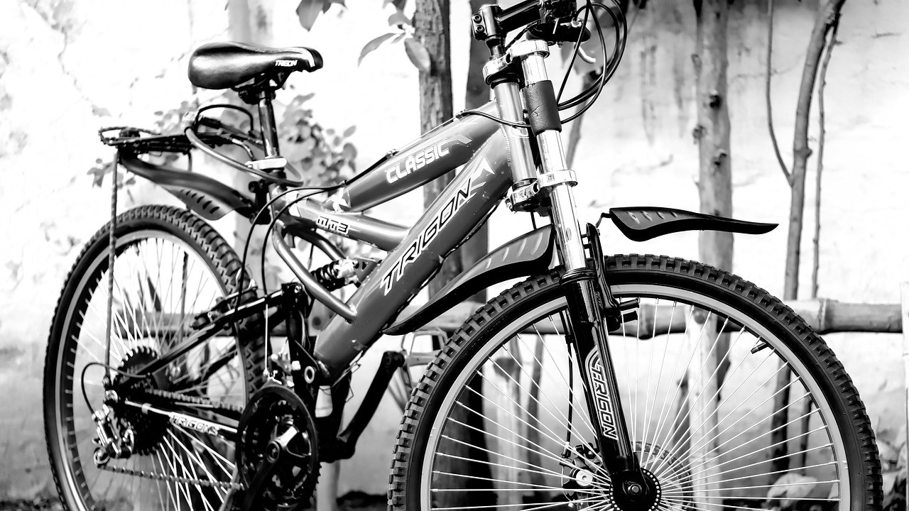 Odkryj świat rowerów górskich w Polsce! Najlepsze trasy MTB, porady, zalety jazdy i sprzęt najwyższej jakości, Polska.gratis